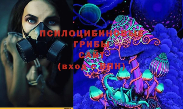 СК Бородино