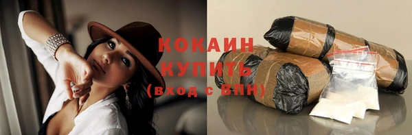 СК Бородино
