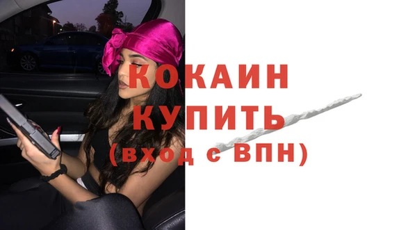 СК Бородино