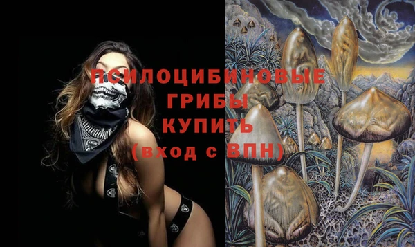 mdpv Бронницы