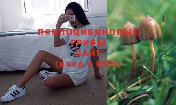 mdpv Бронницы