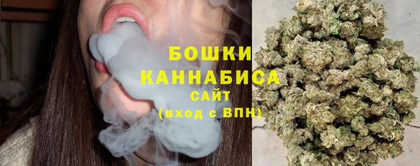 СК Бородино